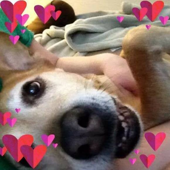 Meet your Posher, Suzanne - Picture 1 of 1